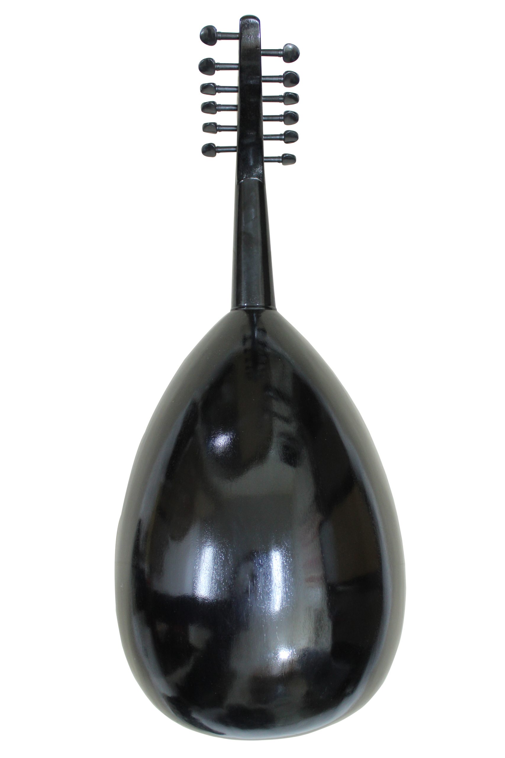 Oud Bahraini Intermediate Black Back