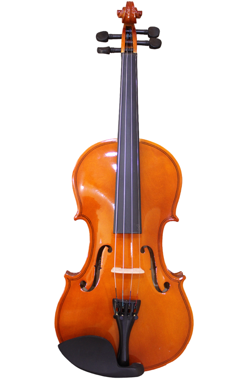 Sino GVT015A Gloss