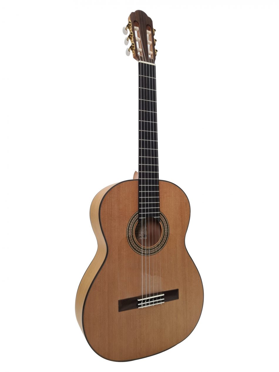 Aria Flamenco A-50C F
