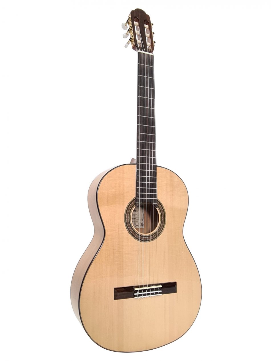 Aria Flamenco A-50F