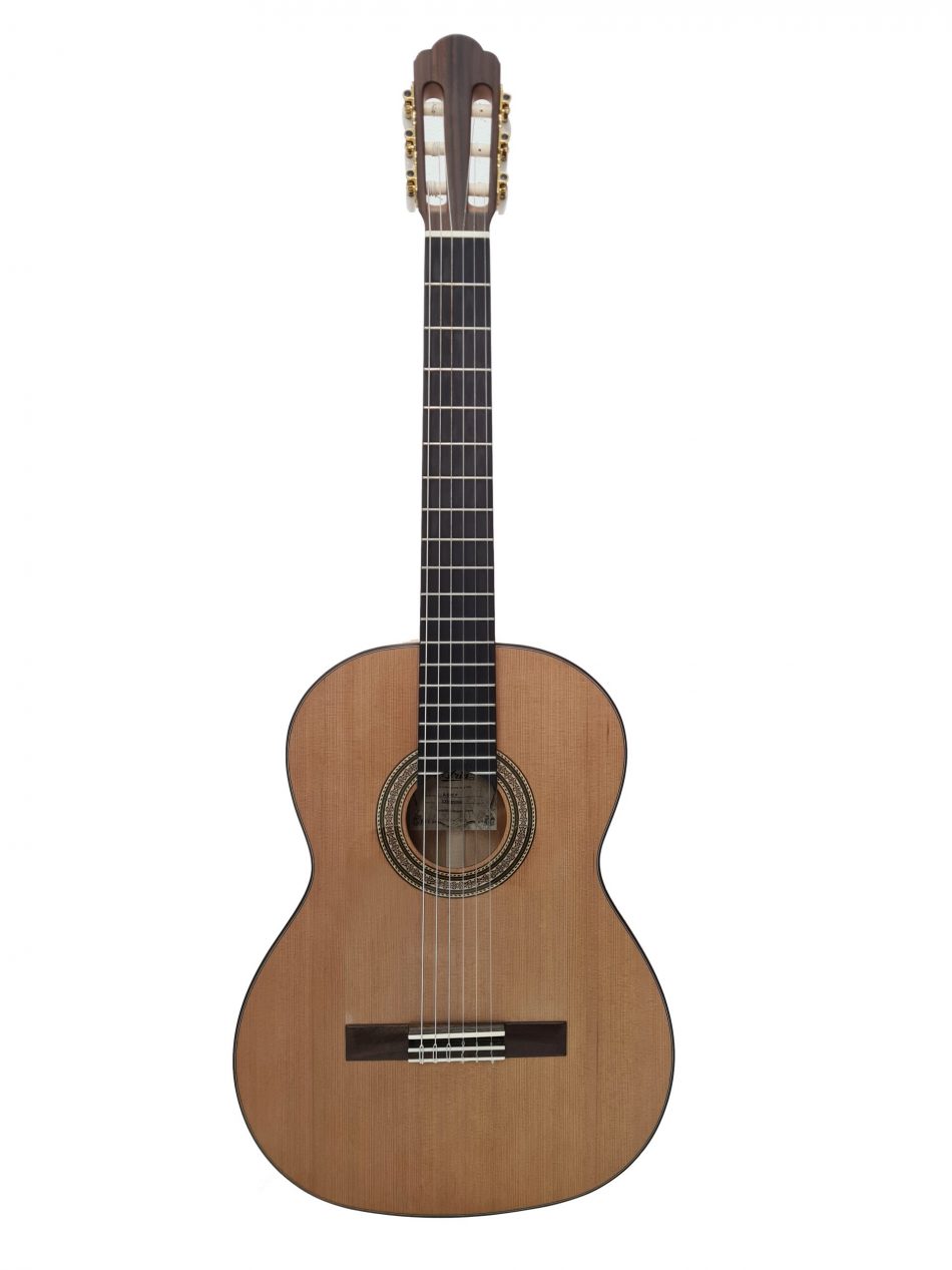Aria Flamenco A-50C F