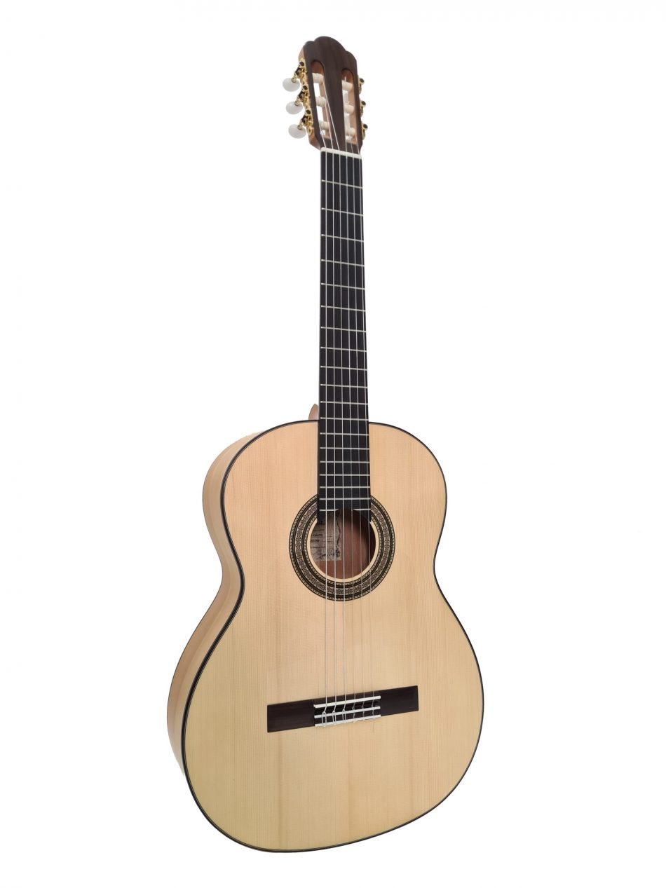 Aria Flamenco A-50F MTN