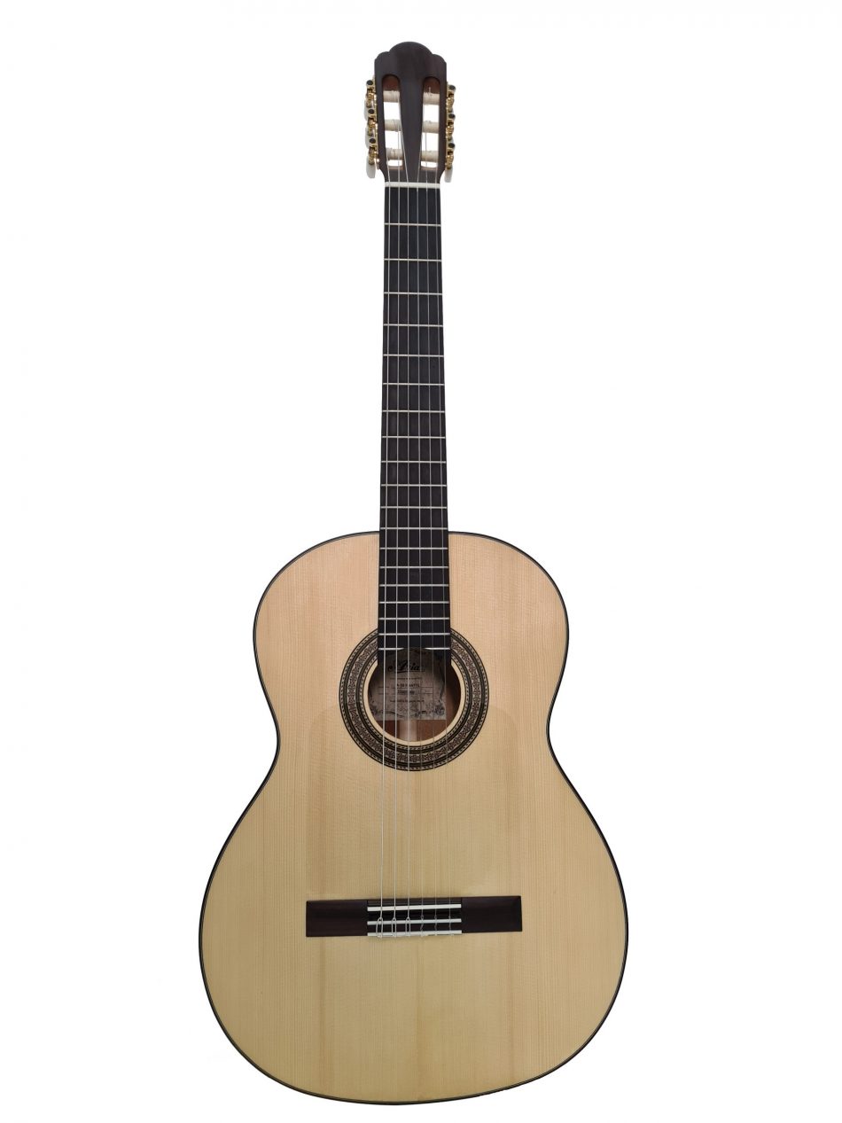 Aria Flamenco A-50F MTN