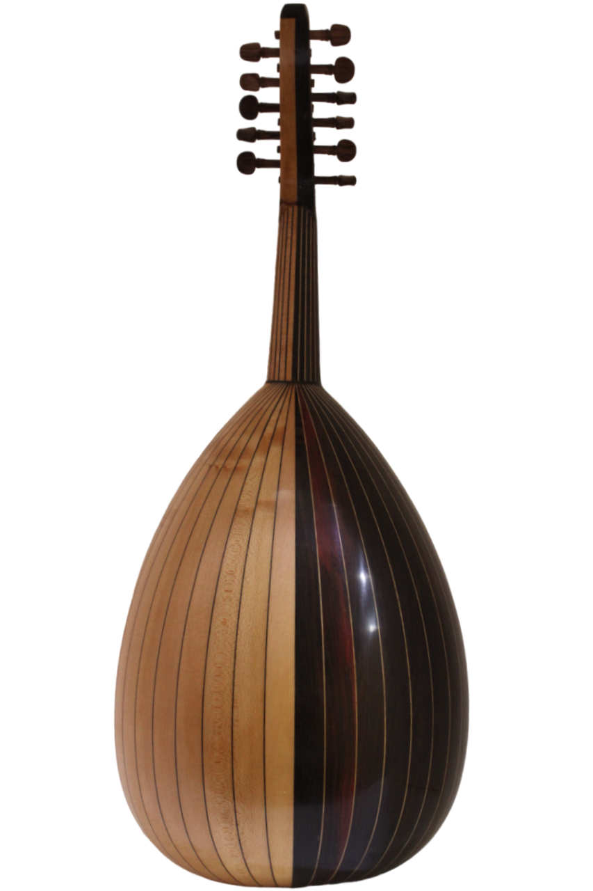 Intermediate Back