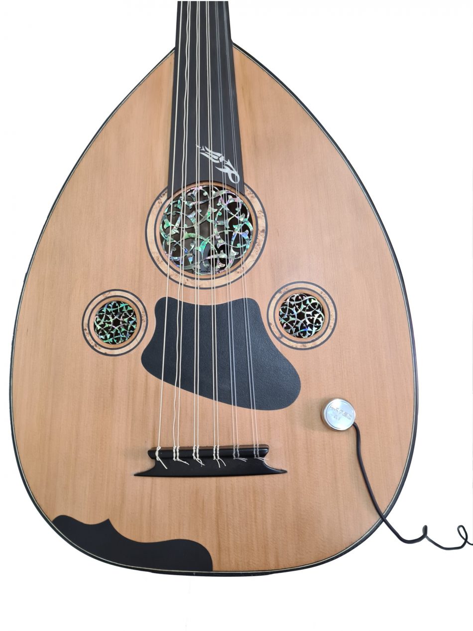 ARTEC OUD/GUITAR MIC 3M
