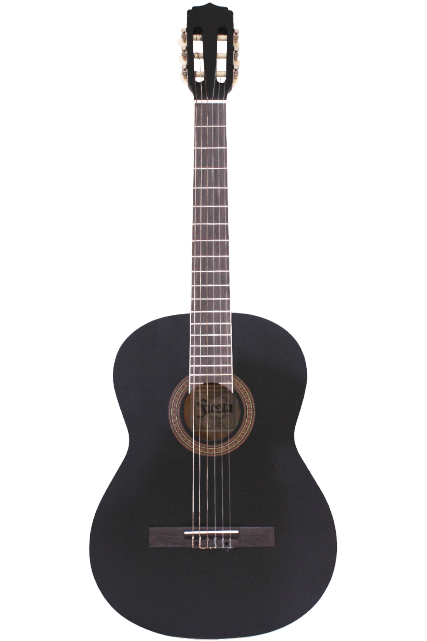 Fiesta-200 BK MTN