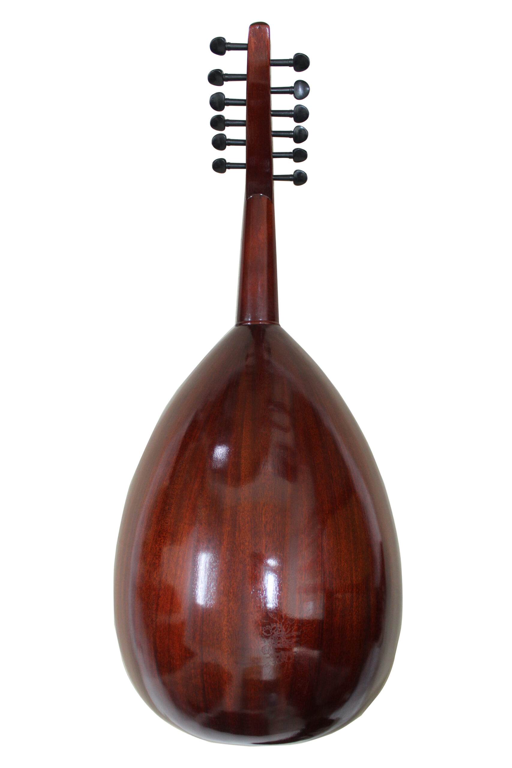 Intermediate (Red) Model Back