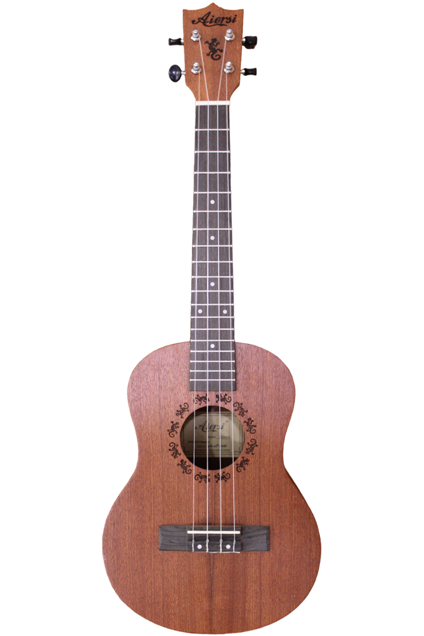 Concert 24″
