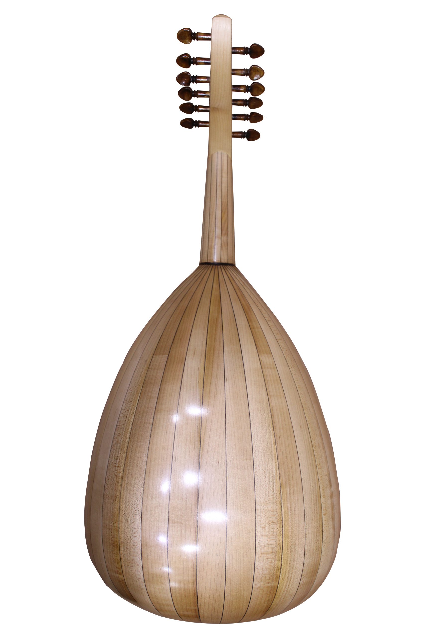 Abdul Aal (Maple) Back