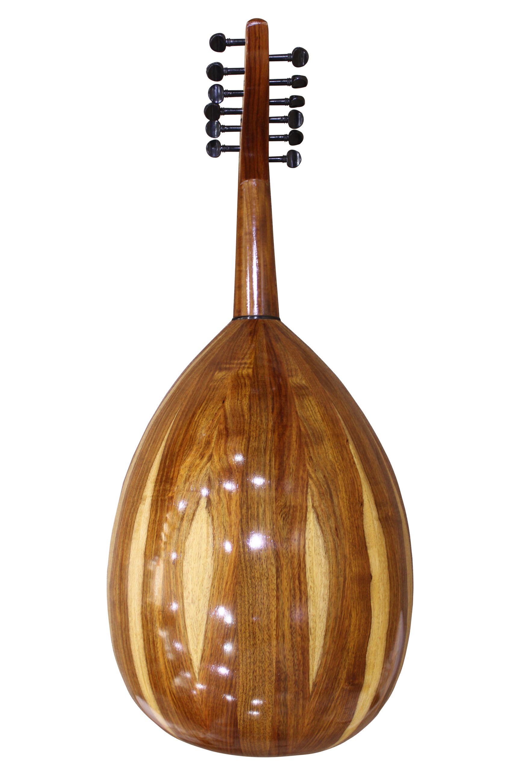 Advance Model (Walnut) Back