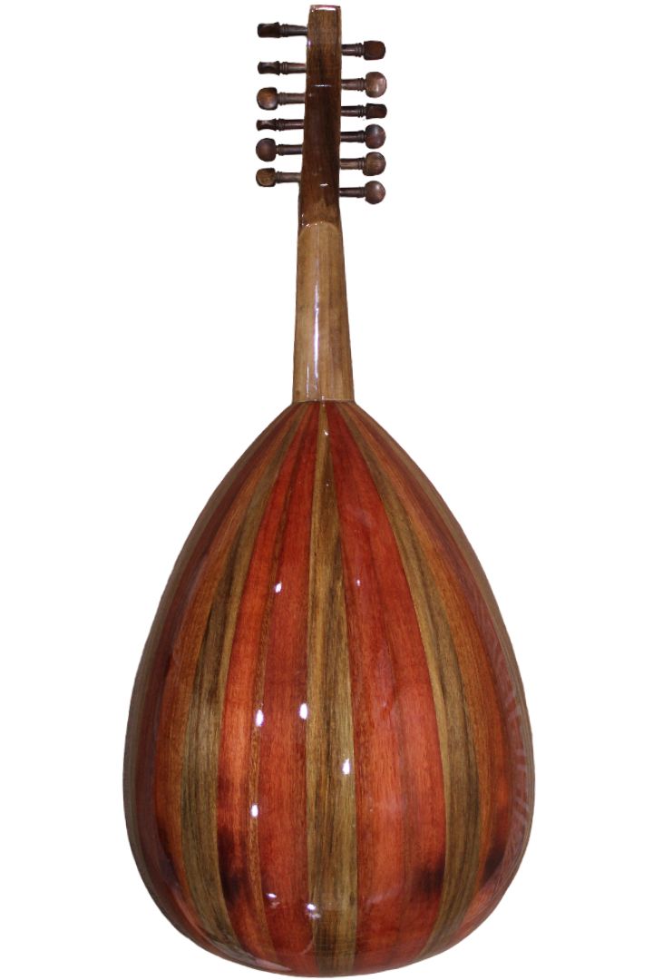 Oud Zaryab Intermediate Model No.1