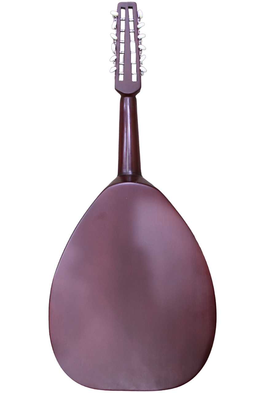 Bahraini Electric (Cedar) Back