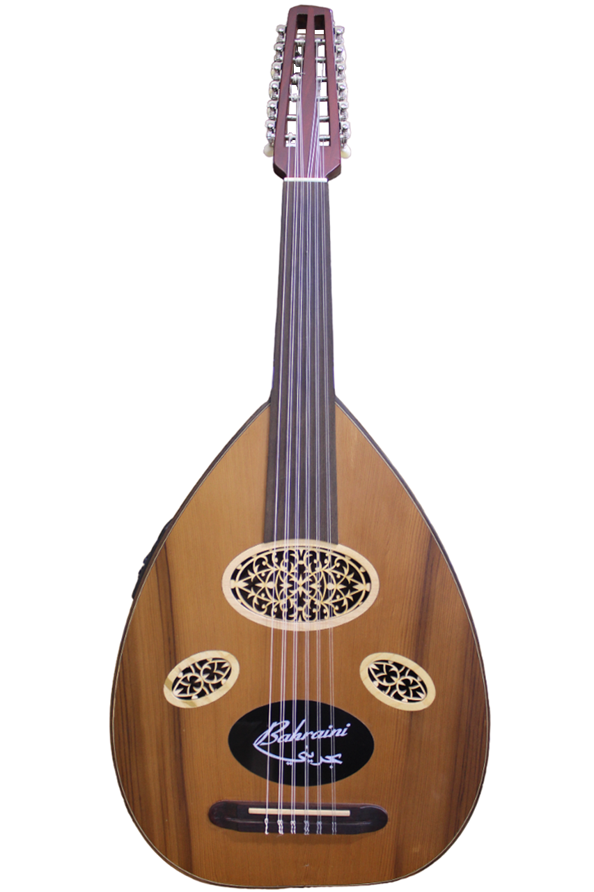Bahraini Electric Oud