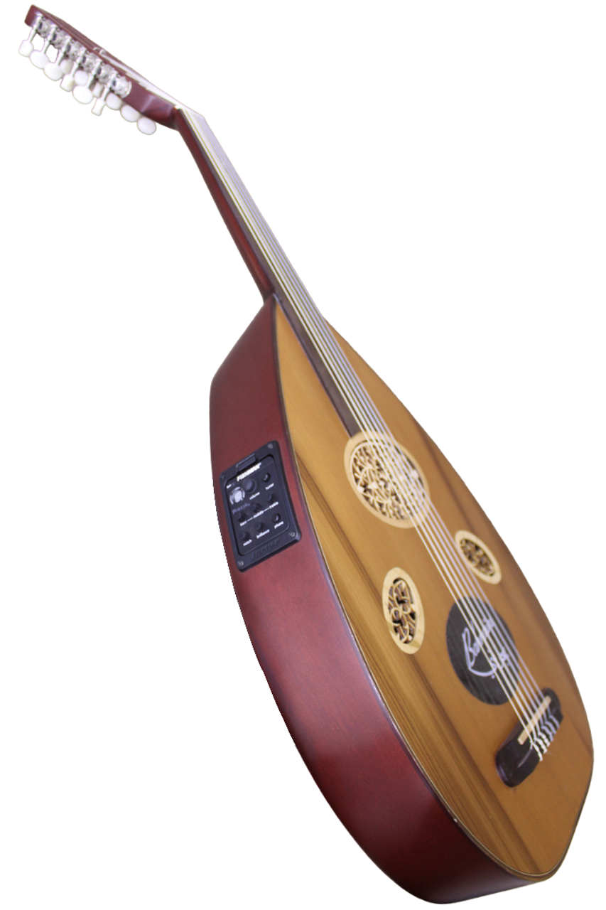 Bahraini Electric Oud