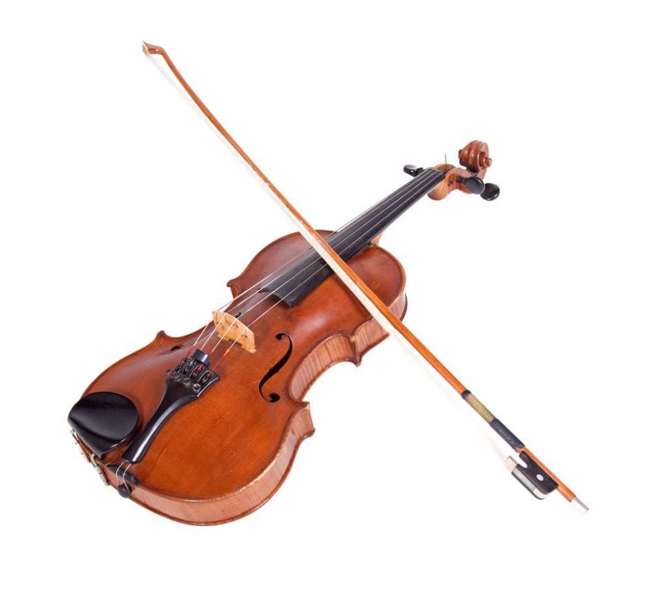 Viola / فيولا