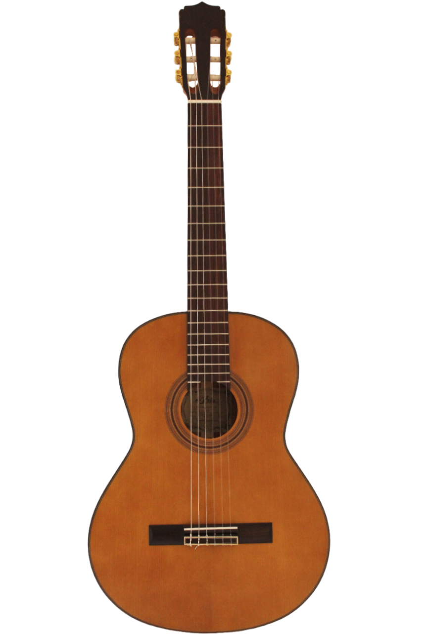 Classic A-20 MTN